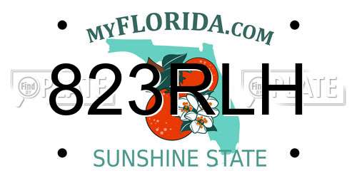 823RLH Florida License Plate