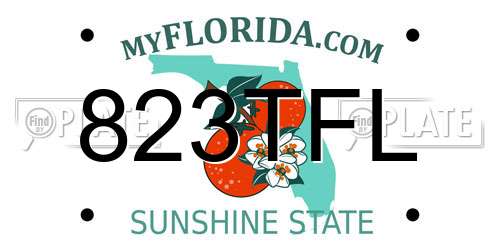 823TFL Florida License Plate