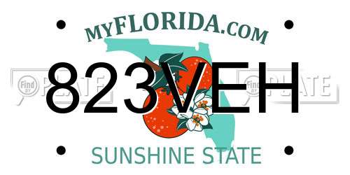 823VEH Florida License Plate