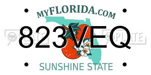 823VEQ Florida License Plate