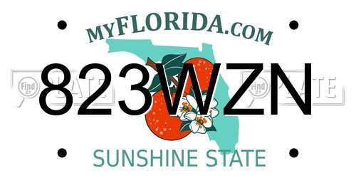 823WZN Florida License Plate