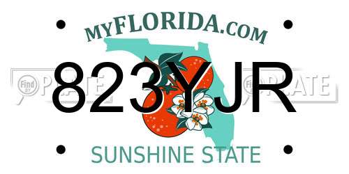 823YJR Florida License Plate