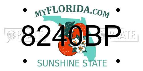 8240BP Florida License Plate