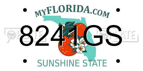 8241GS Florida License Plate