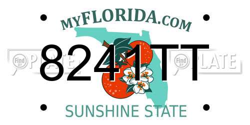 8241TT Florida License Plate