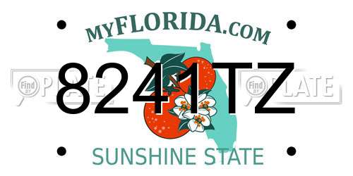 8241TZ Florida License Plate