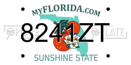 8241ZT Florida License Plate