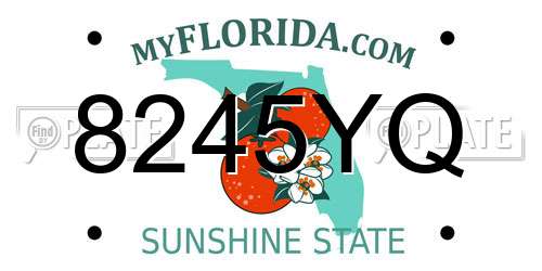 8245YQ Florida License Plate