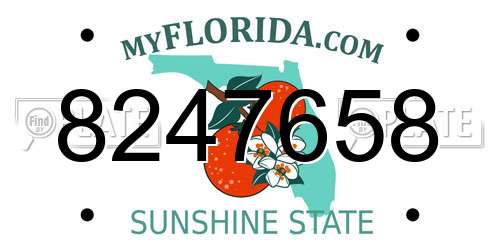 8247658 Florida License Plate