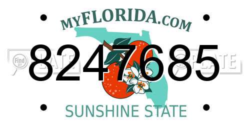 8247685 Florida License Plate