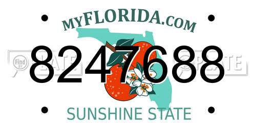 8247688 Florida License Plate