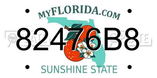 82476B8 Florida License Plate