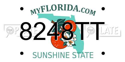 8248TT Florida License Plate