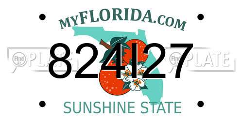824I27 Florida License Plate