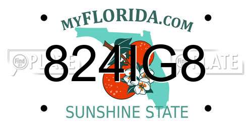 824IG8 Florida License Plate