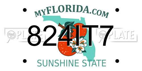 824IT7 Florida License Plate