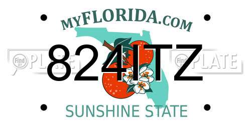824ITZ Florida License Plate