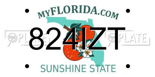824IZT Florida License Plate