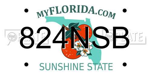 824NSB Florida License Plate