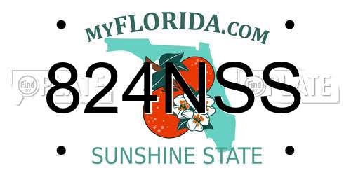 824NSS Florida License Plate