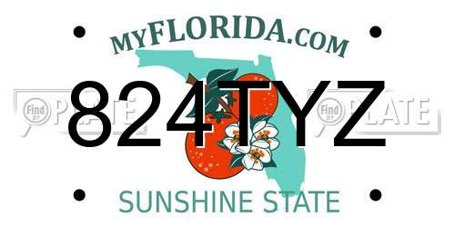 824TYZ Florida License Plate