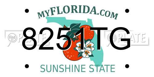 8251TG Florida License Plate