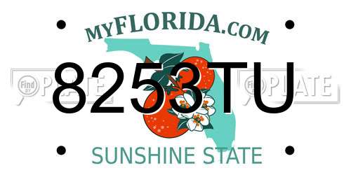 8253TU Florida License Plate
