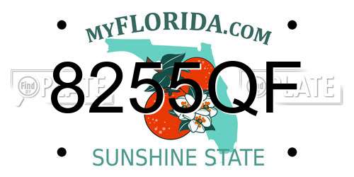 8255QF Florida License Plate
