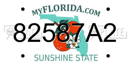 82587A2 Florida License Plate