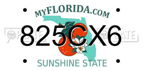 825CX6 Florida License Plate