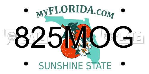 825MOG Florida License Plate