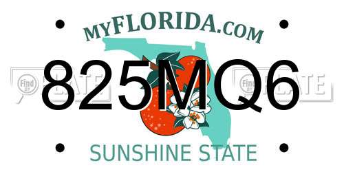 825MQ6 Florida License Plate