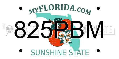 825PBM Florida License Plate