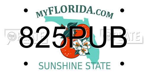 825PUB Florida License Plate