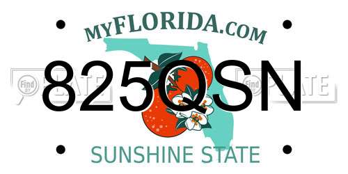 825QSN Florida License Plate