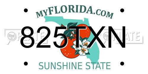 825TXN Florida License Plate