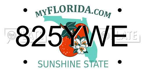825YWE Florida License Plate