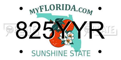 825YYR Florida License Plate