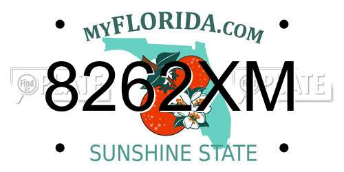 8262XM Florida License Plate