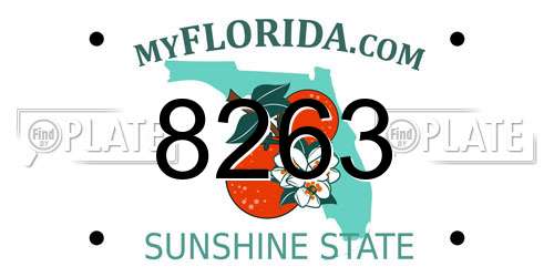 8263 Florida License Plate