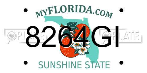 8264GI Florida License Plate