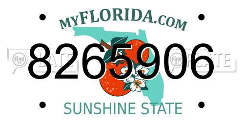 8265906 Florida License Plate
