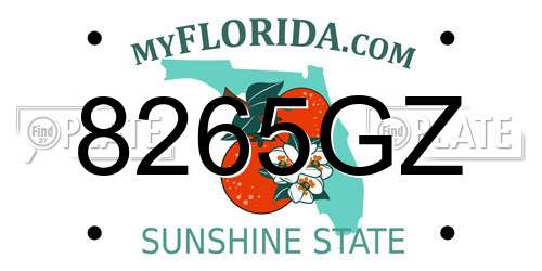 8265GZ Florida License Plate