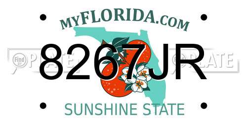8267JR Florida License Plate