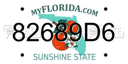 82689D6 Florida License Plate