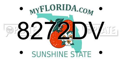 8272DV Florida License Plate