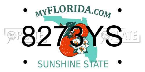 8273YS Florida License Plate