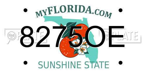 8275OE Florida License Plate