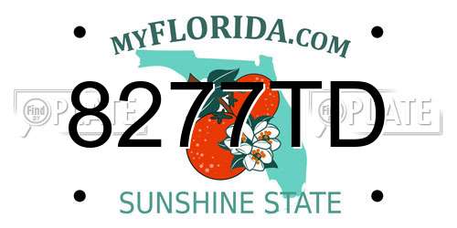 8277TD Florida License Plate