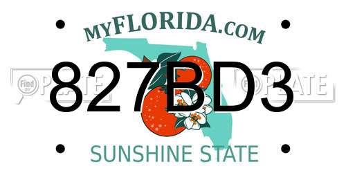 827BD3 Florida License Plate